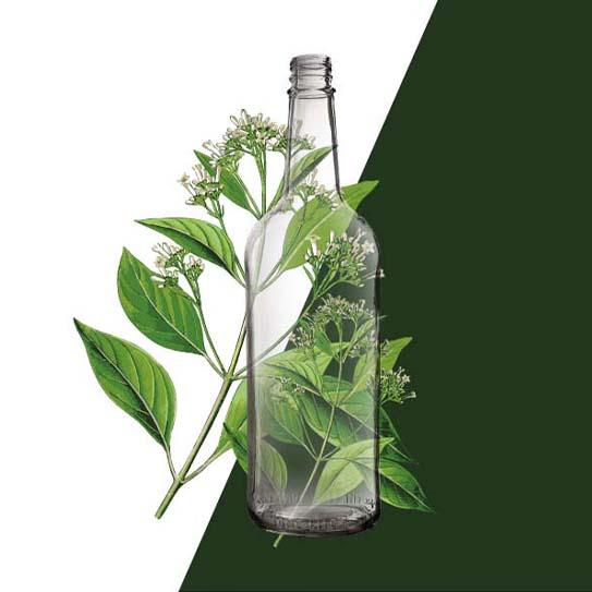 diseño+publicidad2