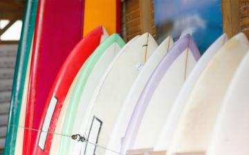 Cesine Negocios y Comunicación: Cursos de verano - Business & Surf